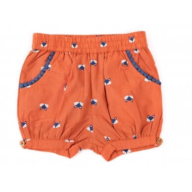 Kite Shorts