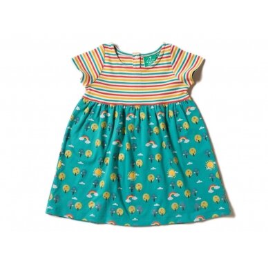 Little Green Radicals Dress - Rainbow