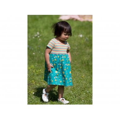 Little Green Radicals Dress - Rainbow 2