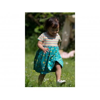 Little Green Radicals Dress - Rainbow 1