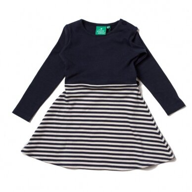 Little Green Radicals Dress - Blue