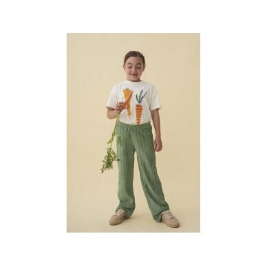 Soft Gallery Shirt - Carrots 2