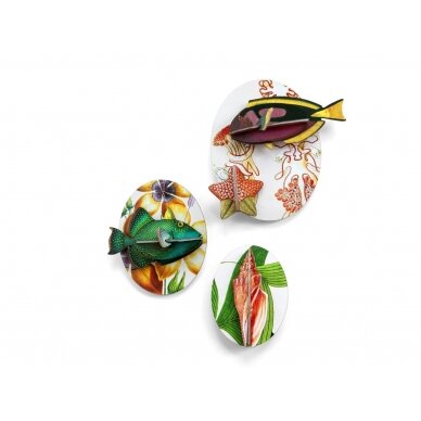 Studio ROOF Wall Decoration - Collectors box fishes - vol 1